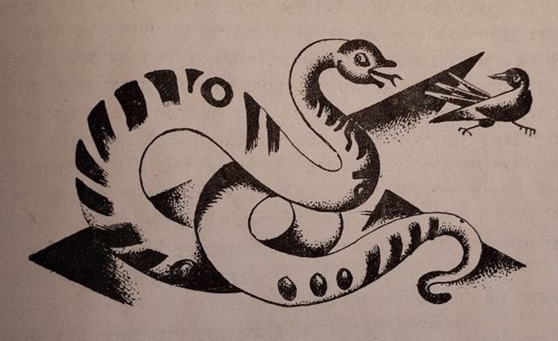 Рикки-Тикки-Тави - 9.jpeg