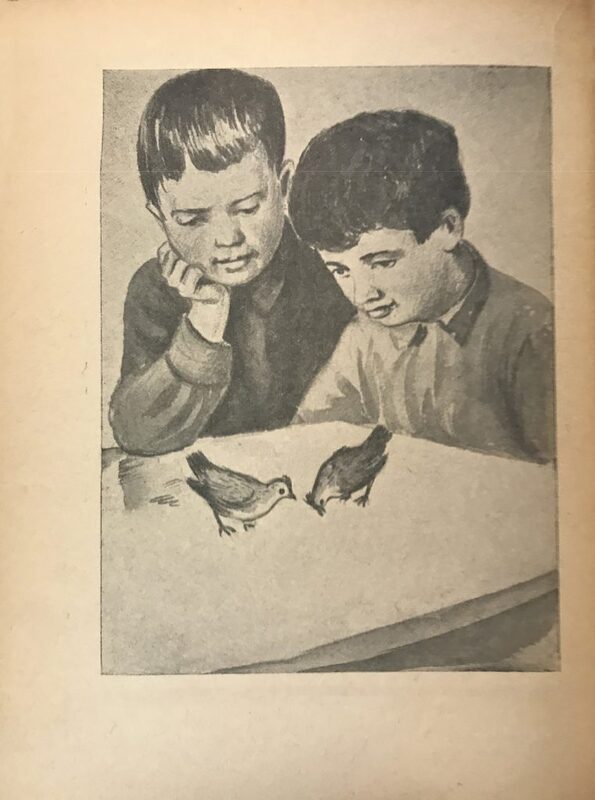 Ройтман - Цып-цып -14.jpg