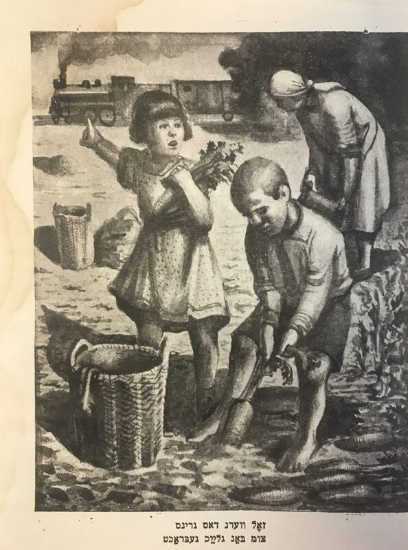 Беймер фланцен (Сажаем деревья)