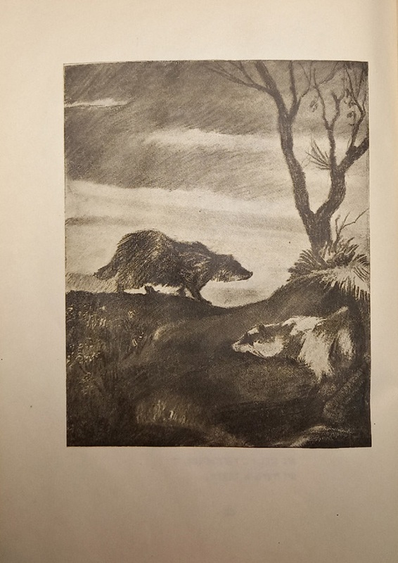 Короткин - 10 историй -17.jpg